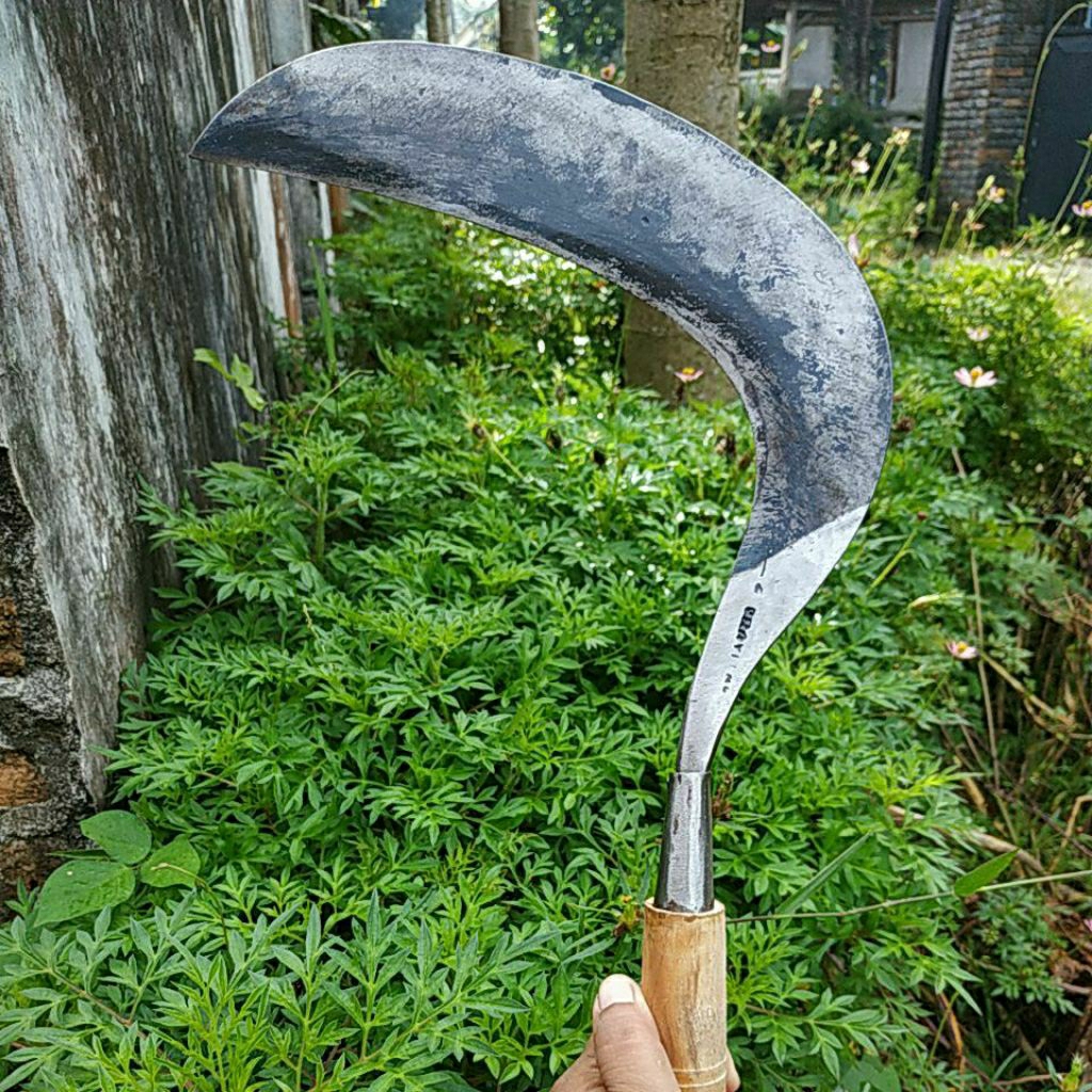 SABIT RUMPUT PRAYITNO BAJA ISEN (tanggung) khas malangan