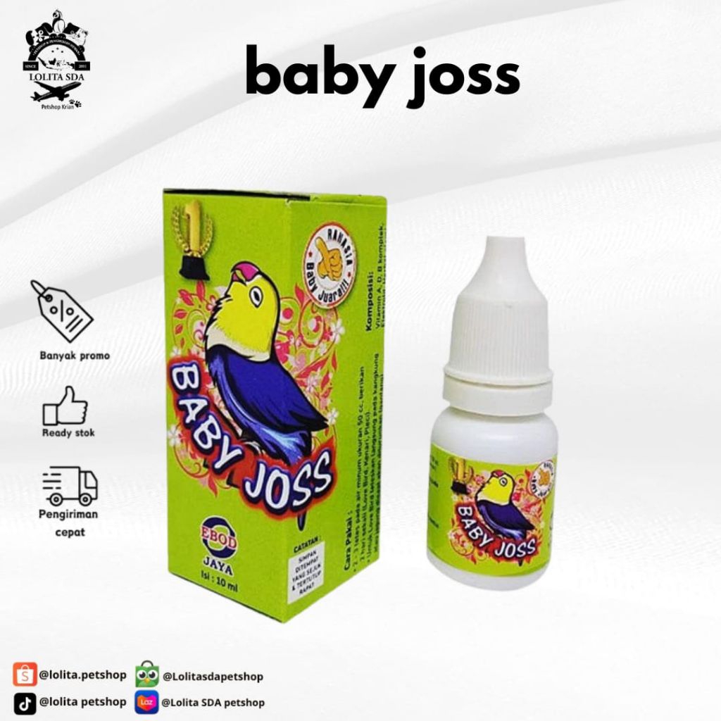 baby joss ebod jaya vitamin anakan burung lovebird