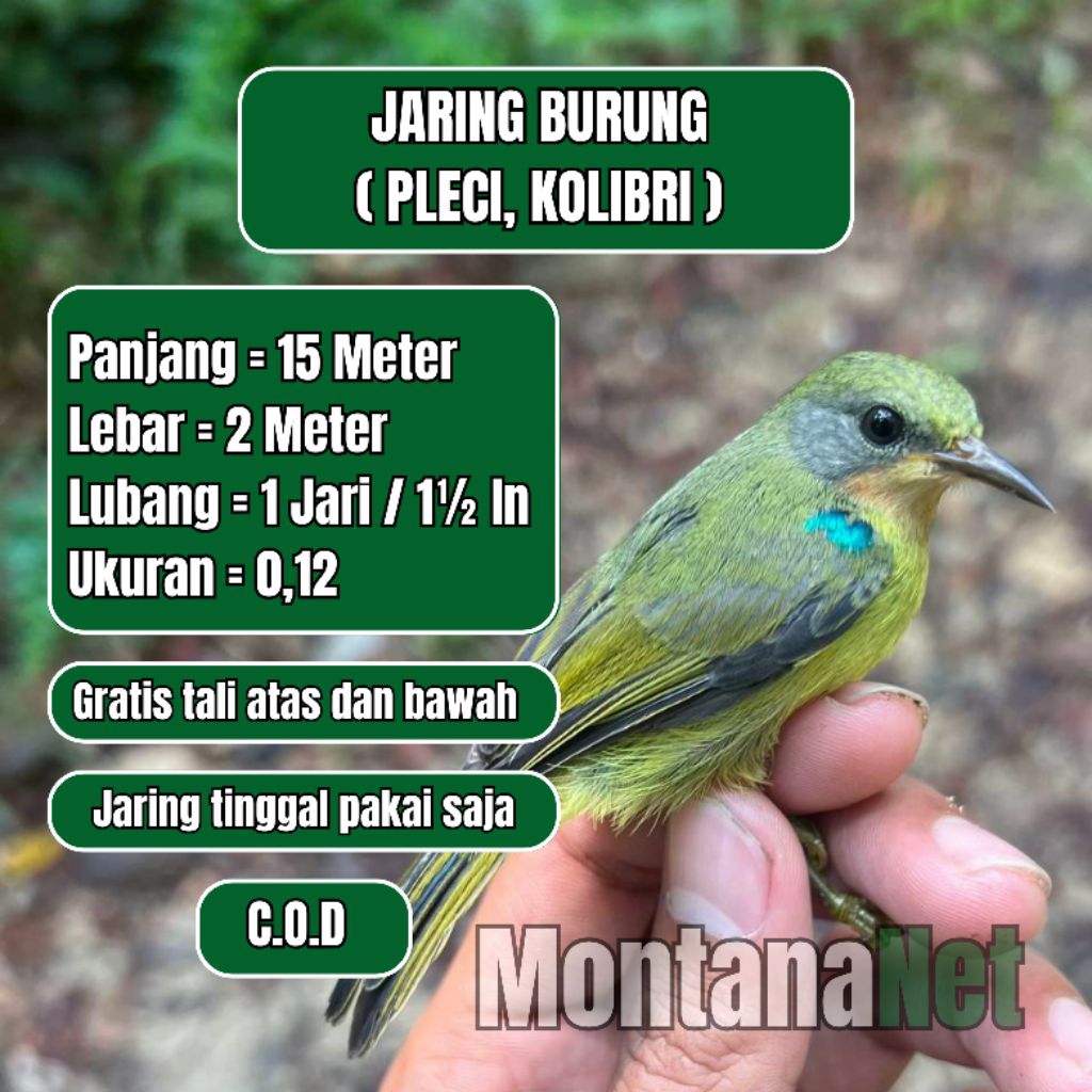 JARING PRENJAK JARING BURUNG SAWAH JEBAKAN BURUNG JARING