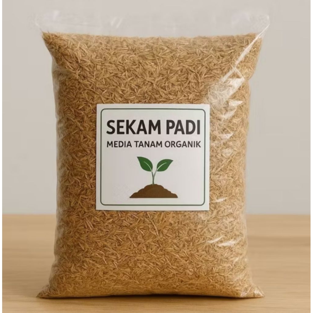 Sekam padi mentah Sekam Padi Berkualitas sekam padi Media tanam Sekam padi termurah Sekam padi 2kg