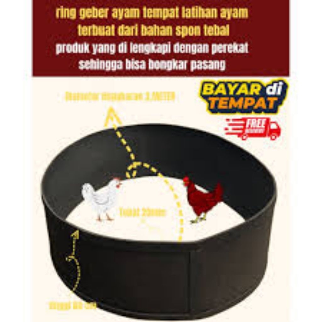 Ring aduan geber ayam diameter 2,5 meter tebal 20mm
