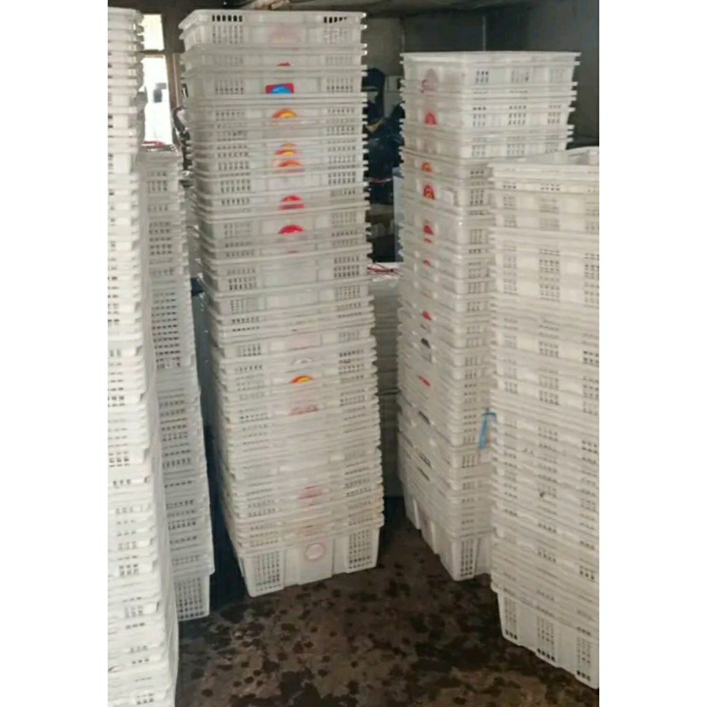 keranjang buah x kelengkeng