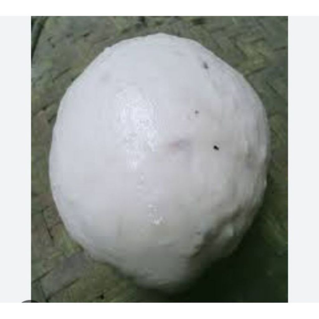 pulut burung super lengket siap pakai