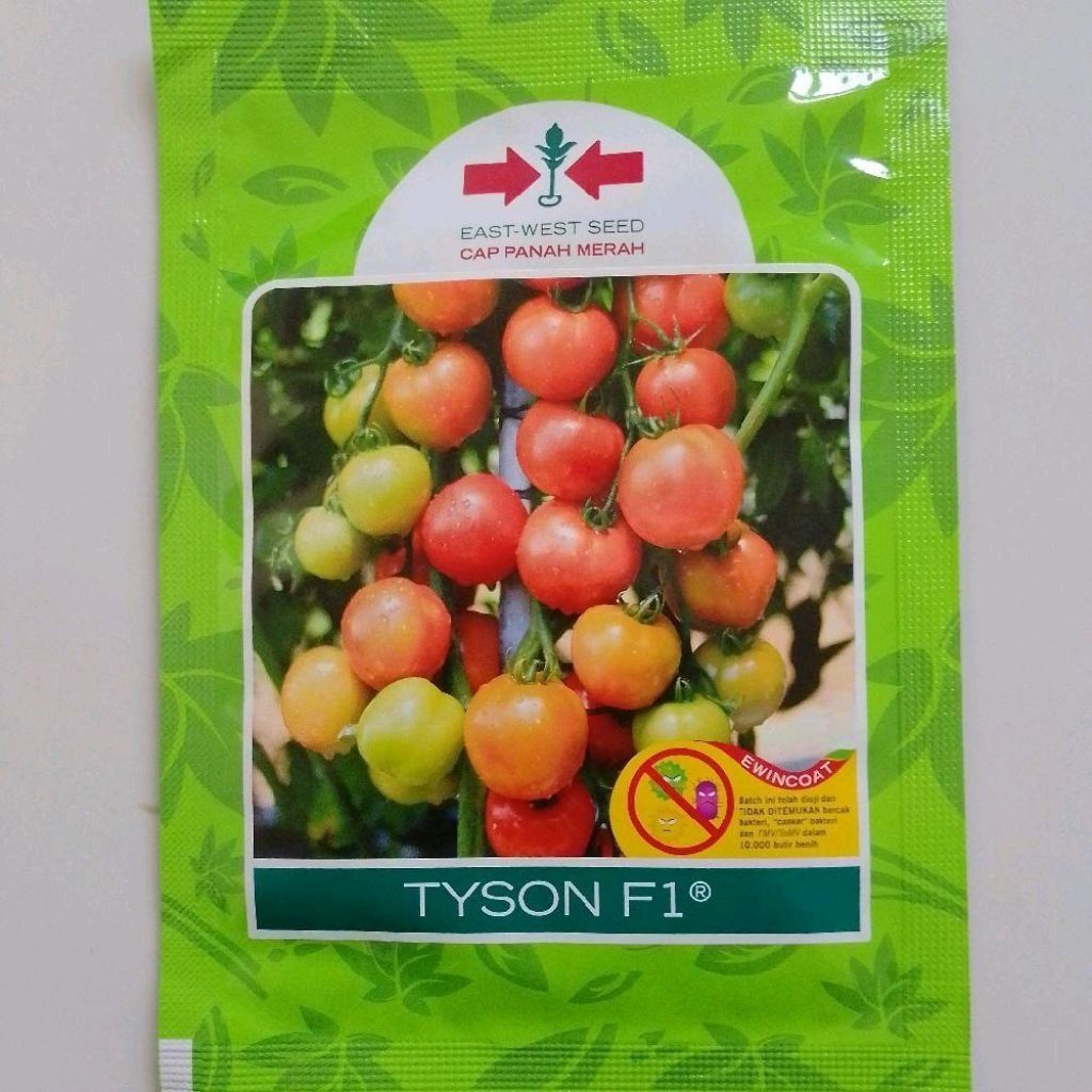 Benih tomat Tyson f1 10 gram isi(-/+1750 butir)