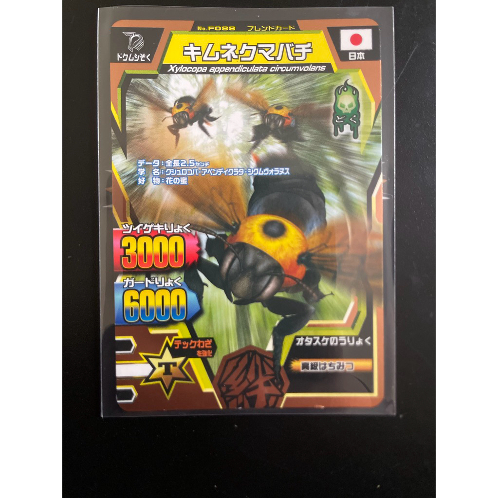 Friend card animal kaiser