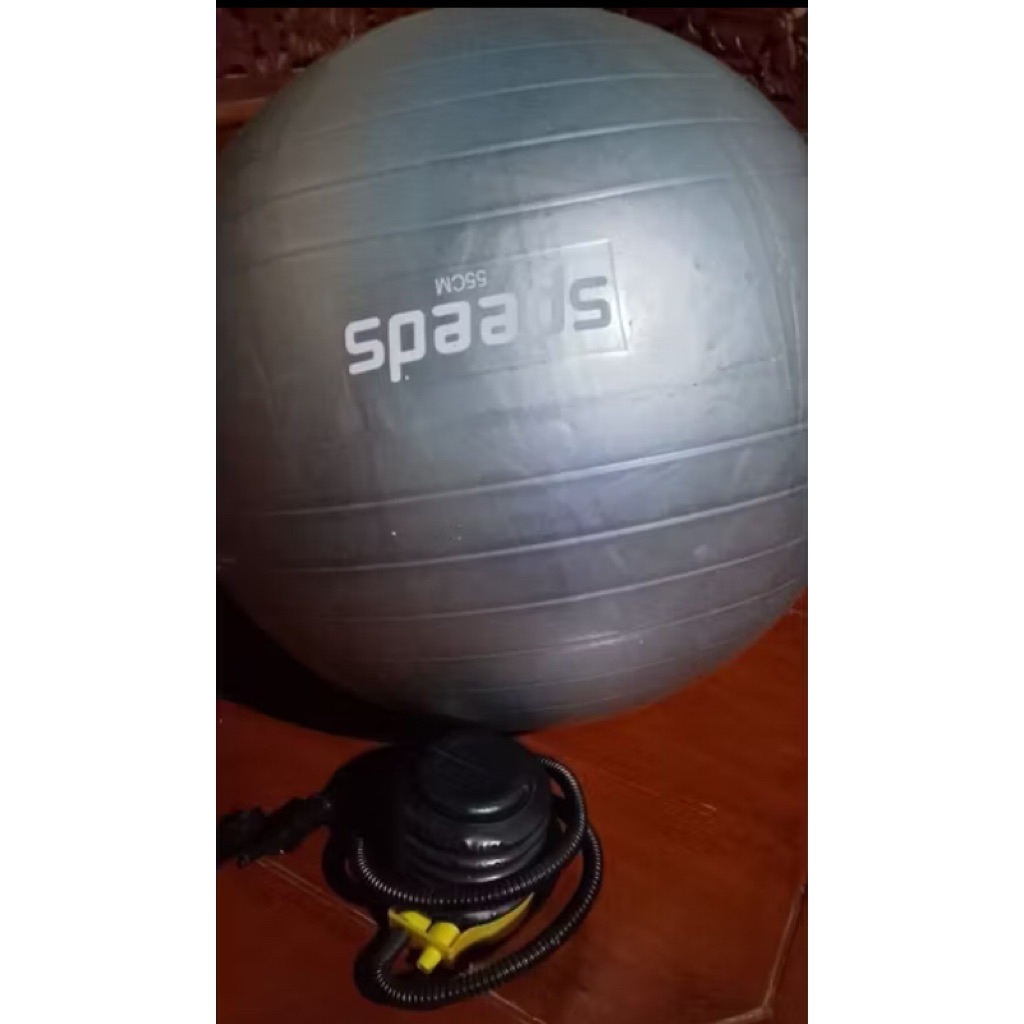 Gymball Speeds PRELOVED