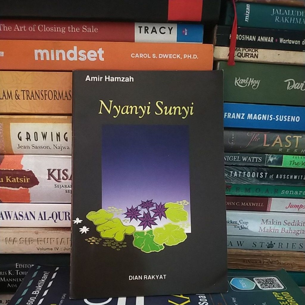 NYANYI SUNYI - AMIR HAMZAH