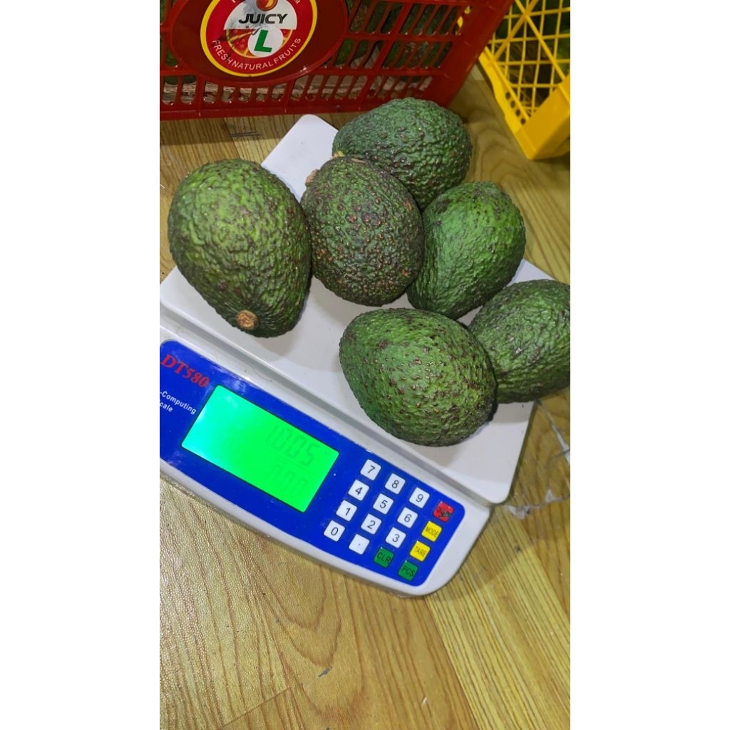 Alpukat HASS 1kg isi 5-6 Biji daging buah tebal manis