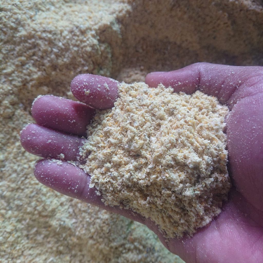 Dedak jagung pakan ayam (HANYA UNTUK PAKAN HEWAN)