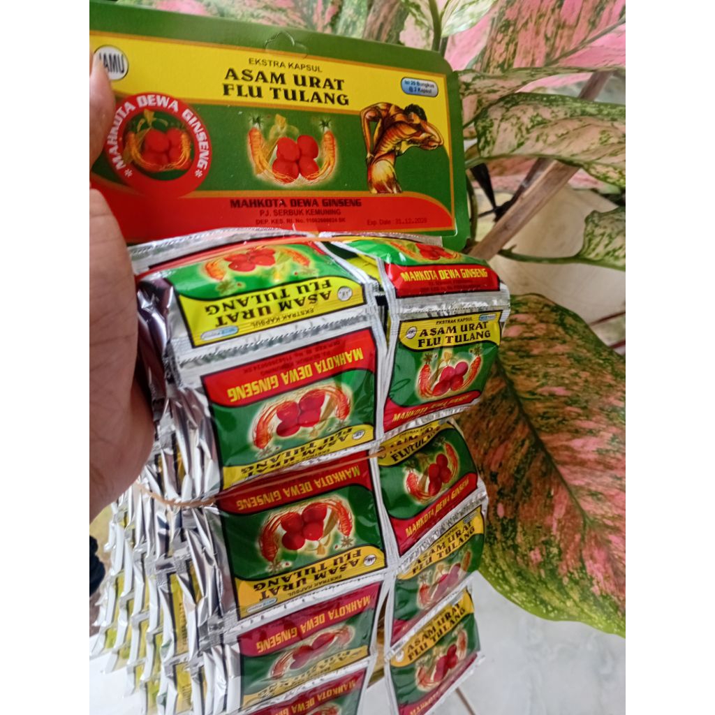 MAHKOTA DEWA HANGER FLU TULANG DAN ASAM URAT.