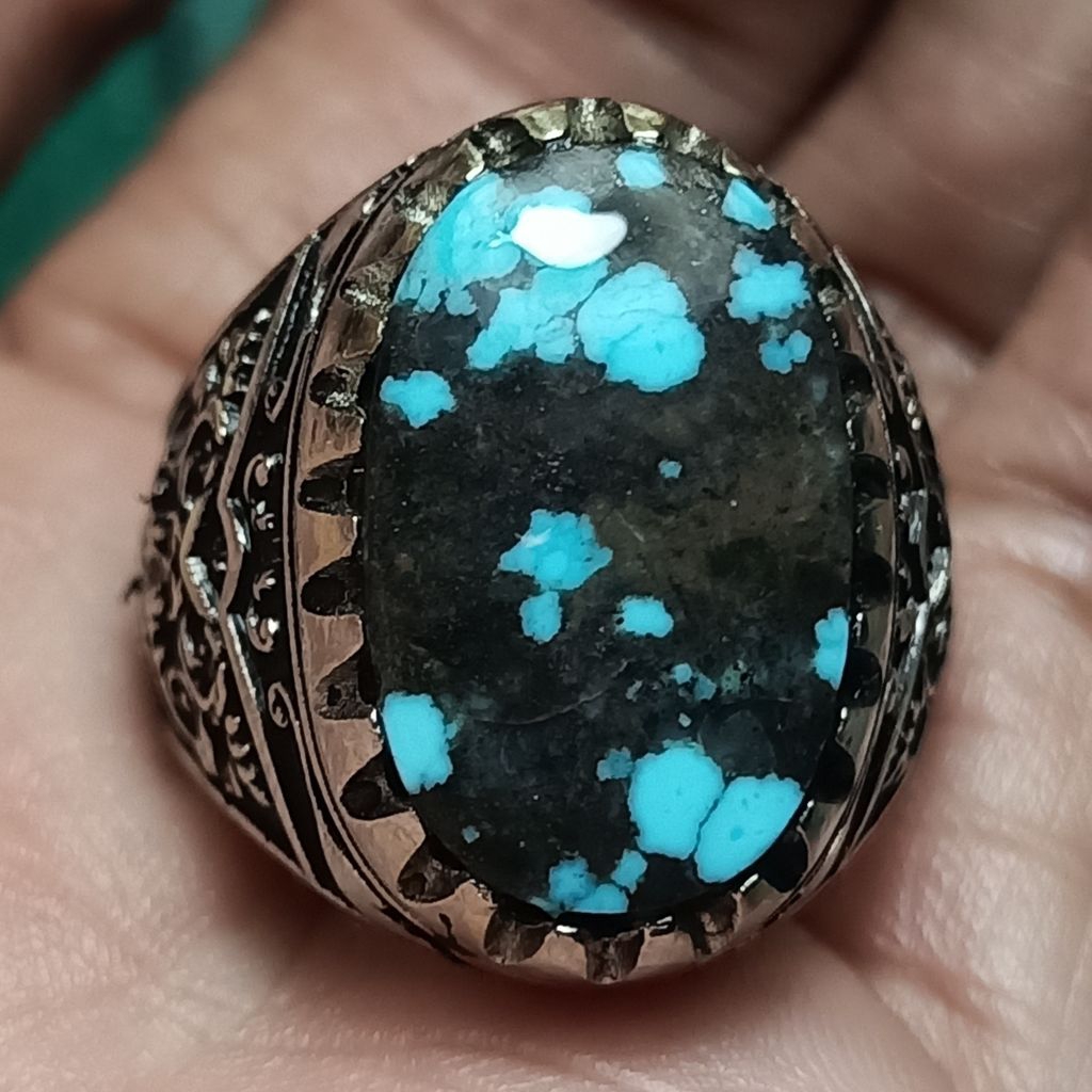 Pirus persia biru tosca ceplok kuro
