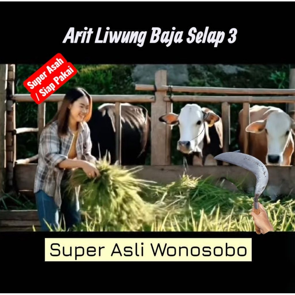 Lukisan Sabit Arit Liwung Tipis Ringan Baja Selap 3 Produk Wonosobo AM19 Super