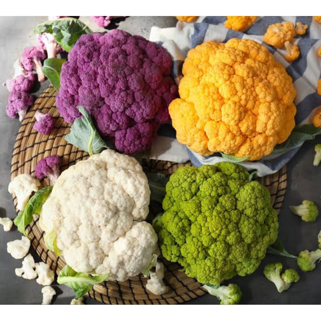Benih Bibit Biji Brokoli Ungu Brokoli Kuning Brokoli Hijau Aneka Macam Benih Brokoli Kembang Kol Bro