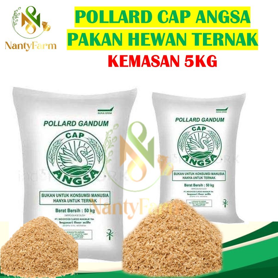 Pollard 5 kg Cap Angsa Bogasari Kemasan 5 kg Polar Makanan Ternak Pakan Ternak