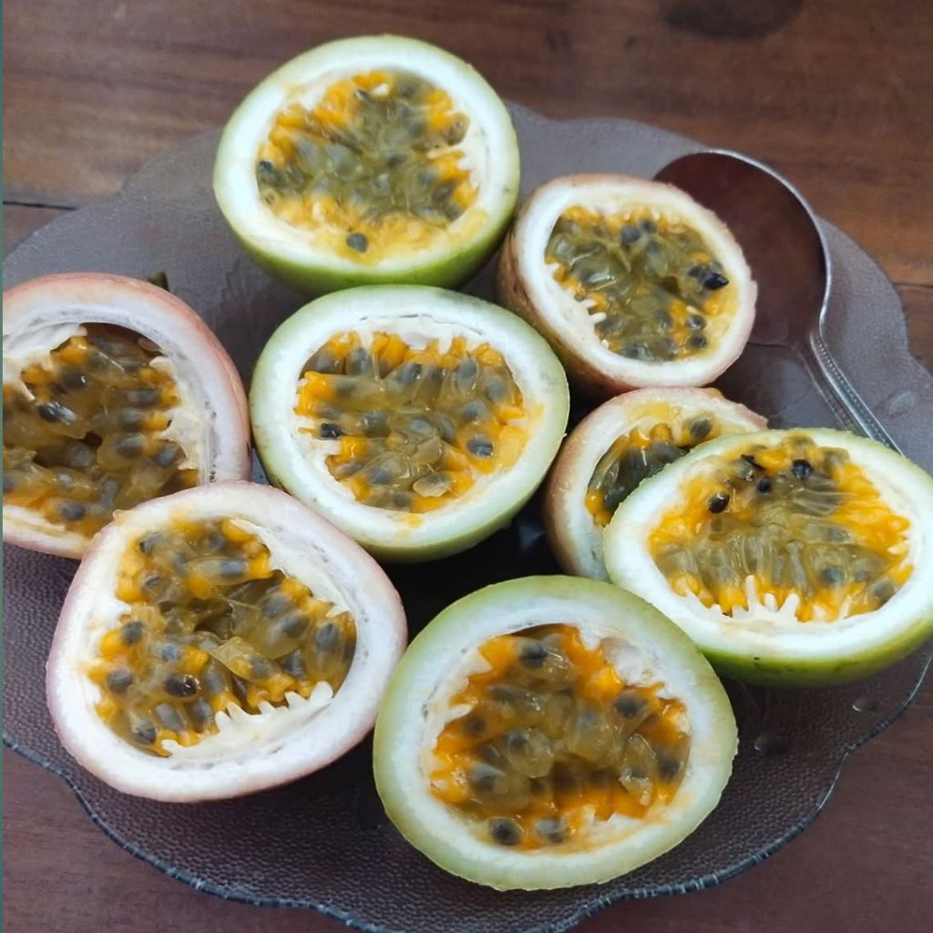 Markisa madu Fresh Buah Markisa Madu segar