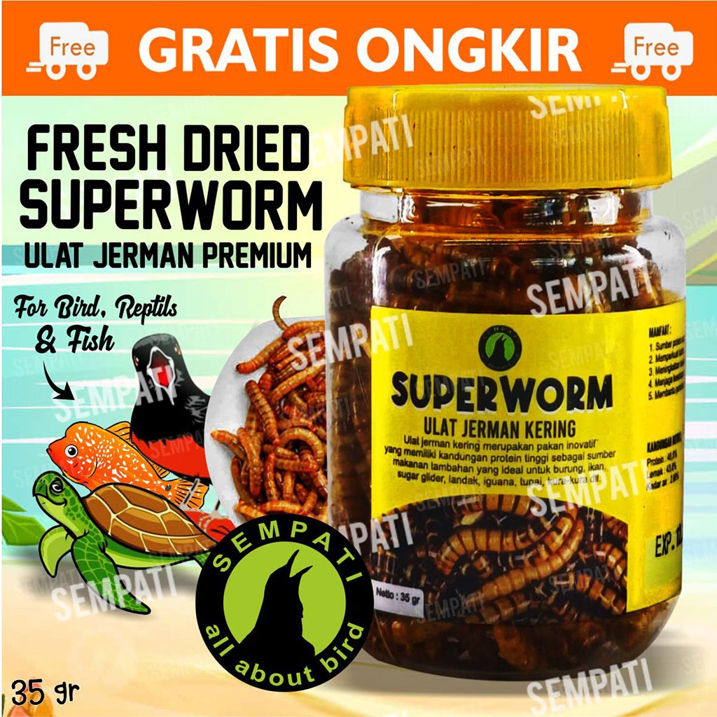 SEMPATI Superworm Super Worm Botol Toples Ulat Jerman Kering Pakan Extra Fooding EF Burung Murai Kac