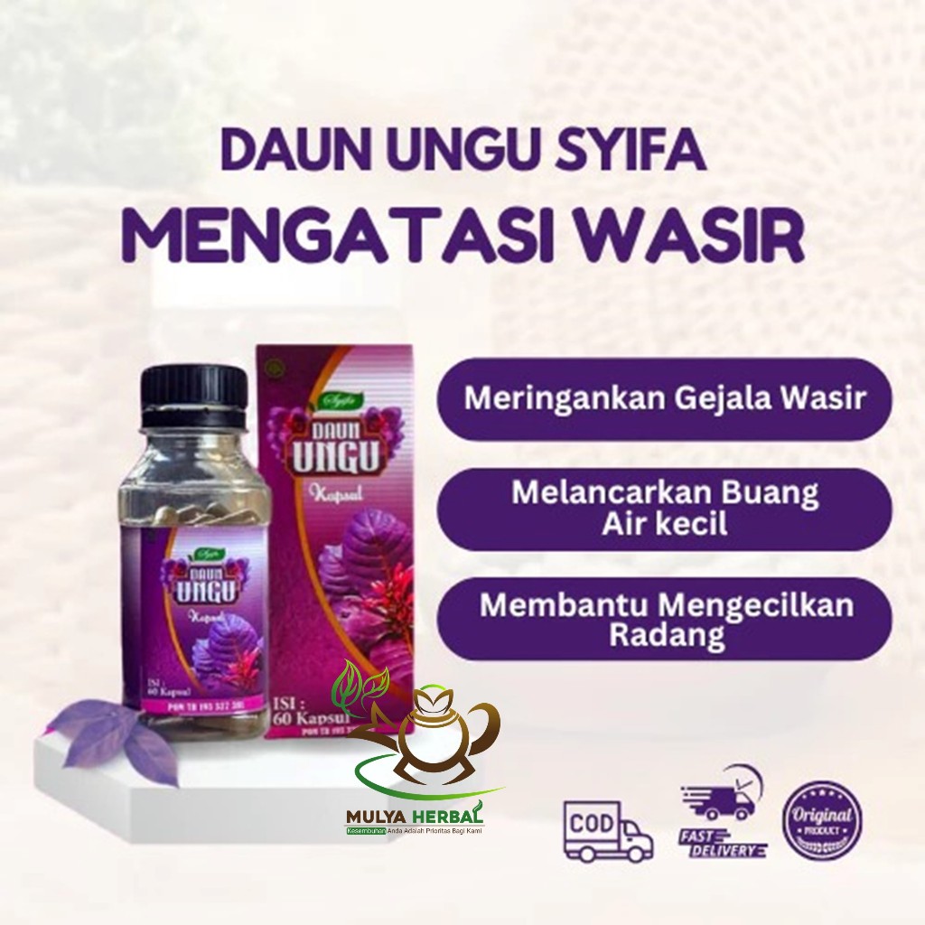 Syifa Daun Ungu 60 Kapsul – Herbal Tradisional untuk Keluhan Ambeien