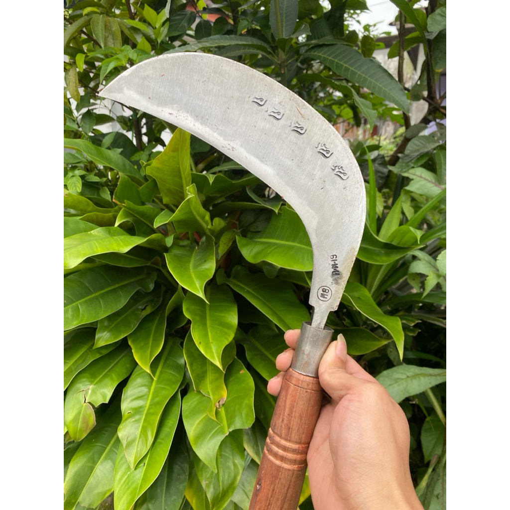 arit deres sadap kelapa isen selap 5 superan