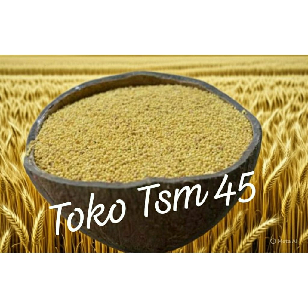 BIJI KUNYIT / BIJI JAWAK / JAWAWUT /JEWAWUT / SEKOI / FOXTAIL MILLET 1KG