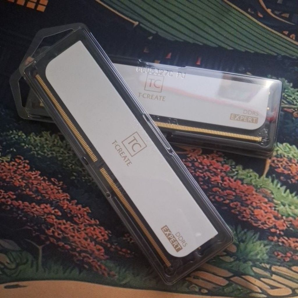 RAM PC Team T-Create Expert DDR5 32GB (2 channels) 6000mhz White