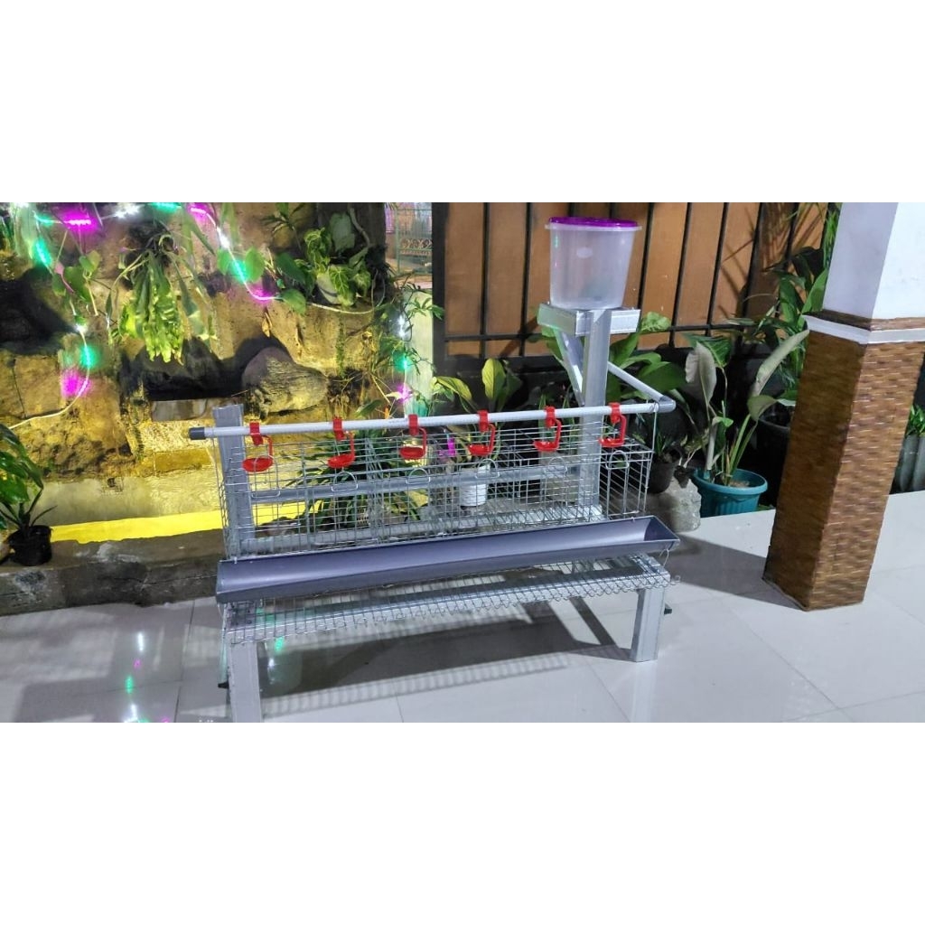 Kandang Batrei Ayam Petelur Kapasitas 12 Ekor