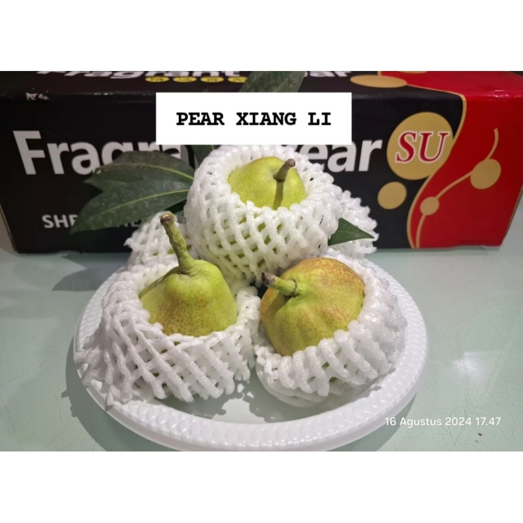 PEAR XIANG LI