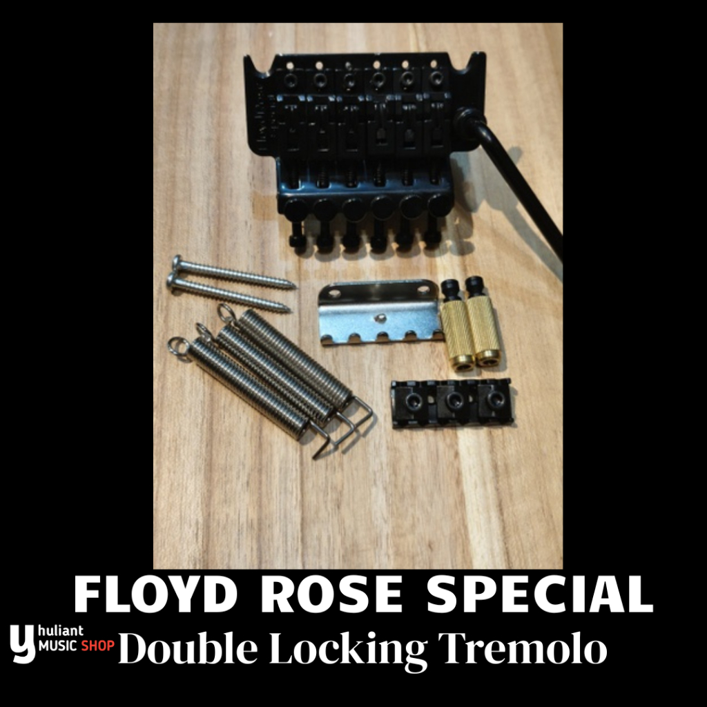 Floyd Rose Special Black Double Locking Tremolo