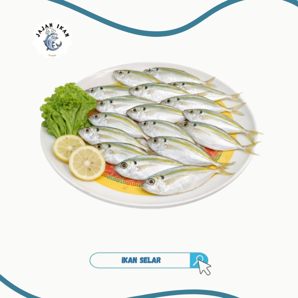 Ikan Selar Kuning Segar 500 - 1kg Ikan Laut beku Jakarta