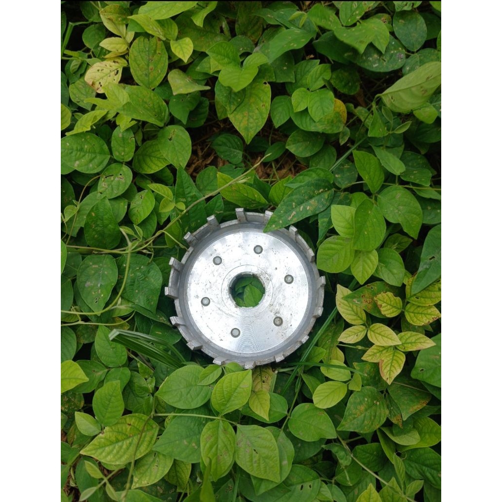 Rumah Kampang Kopling Tiger Original Copotan Siap Pakai