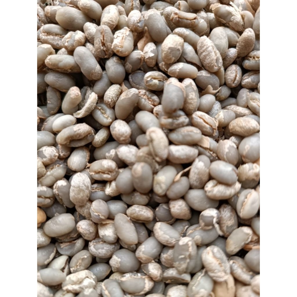 GREEN BEAN (GB) PEABERYY/KOPI LANANG arabika garut papandayan (STOCK TERBATAS)