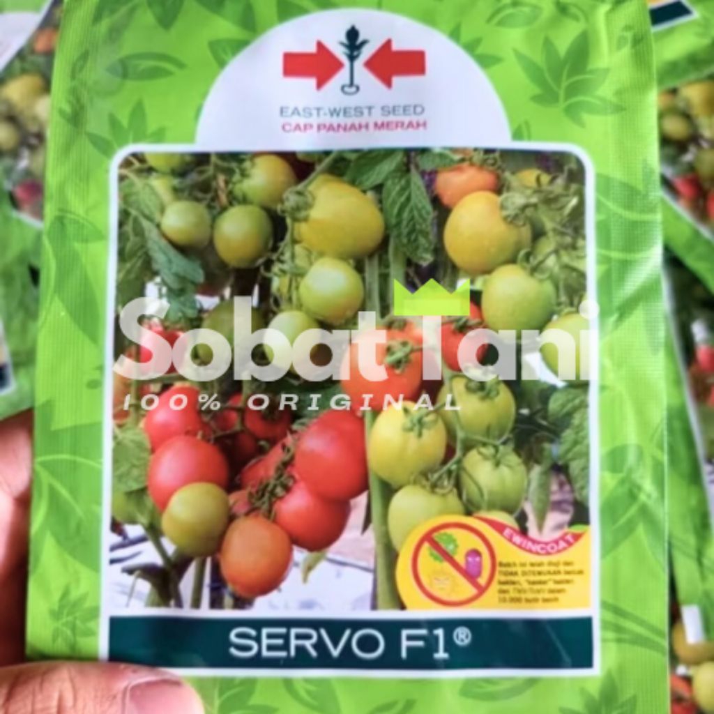 Benih Tomat Servo F1 – Cap Panah Merah | Tahan Penyakit, Buah Lebat