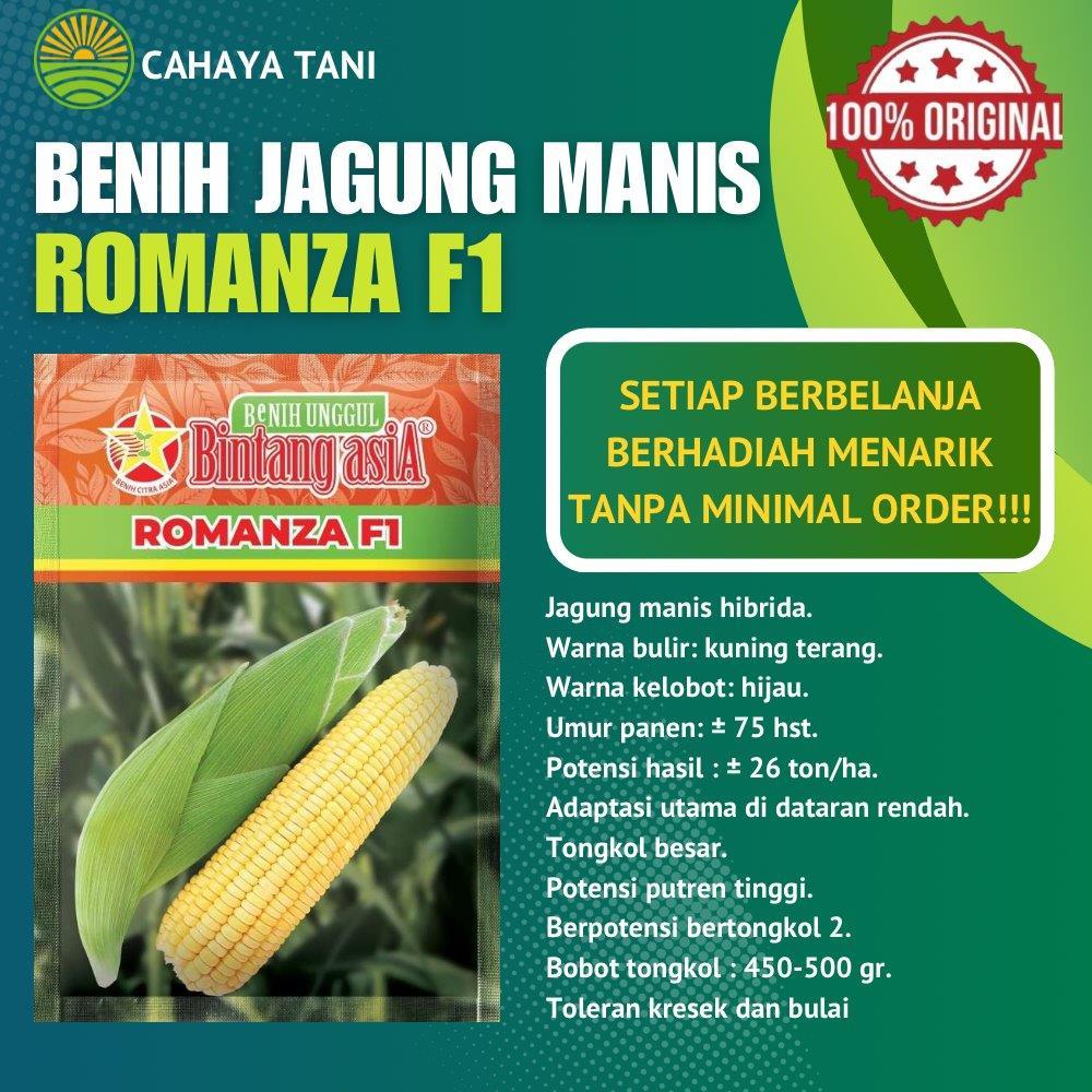 Benih Jagung Manis ROMANZA F1 250gram Bintang Asia