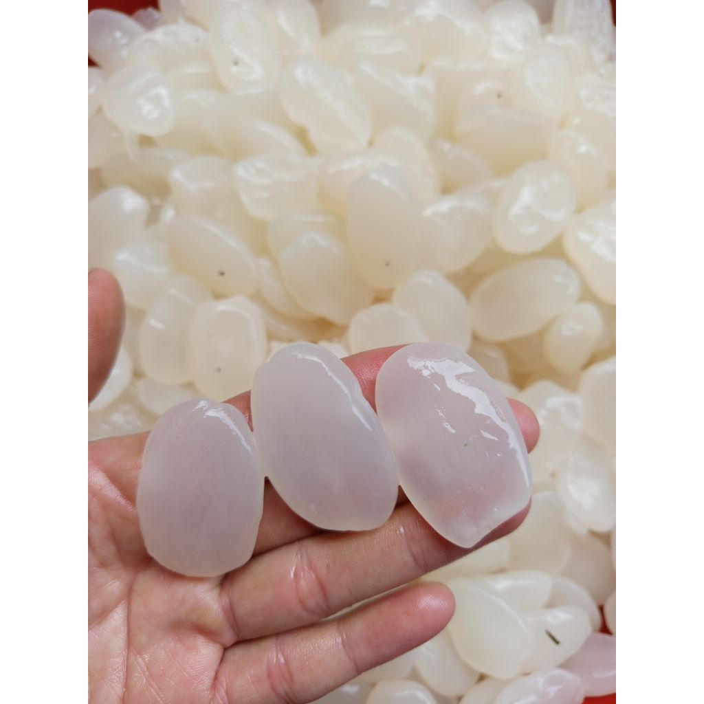 kolang kaling muda organik