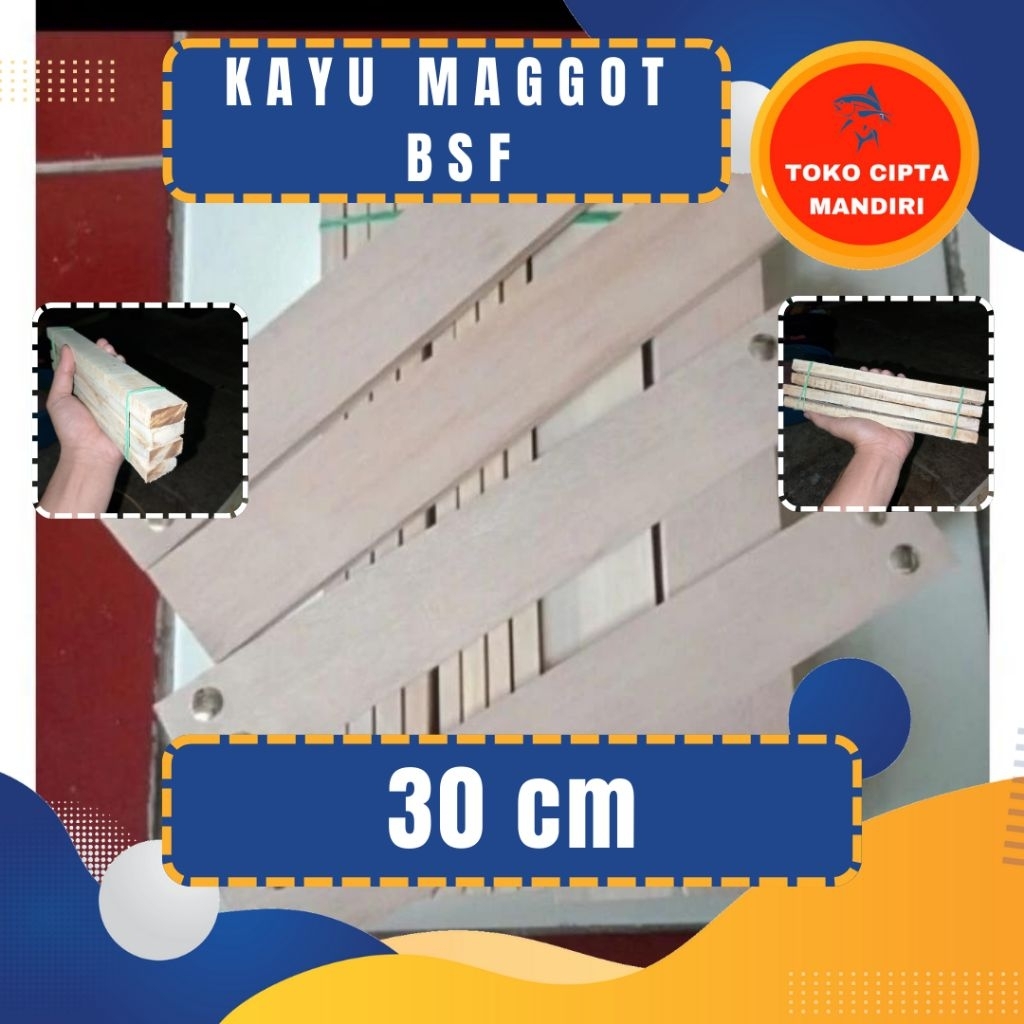 kayu bsf maggot 30 cm tempat telur maggot bsf maggot bsf kandang lalat bsf