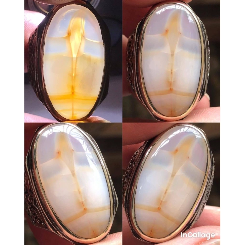 YAMAN TAPAK JALAK PETUK KETEMU RUAS AJIB ANTIK LANGKA