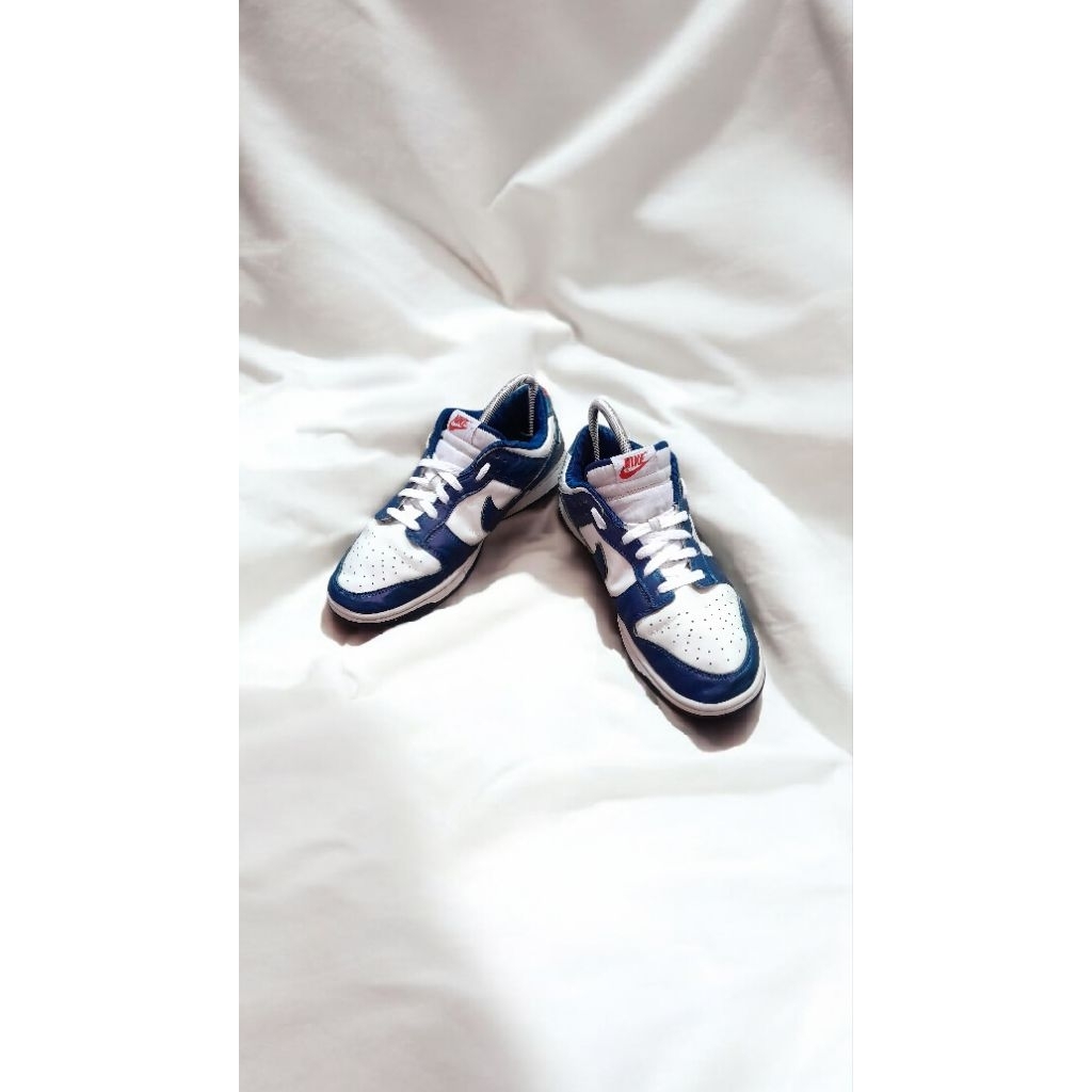 Nike Dunk Valerian blue