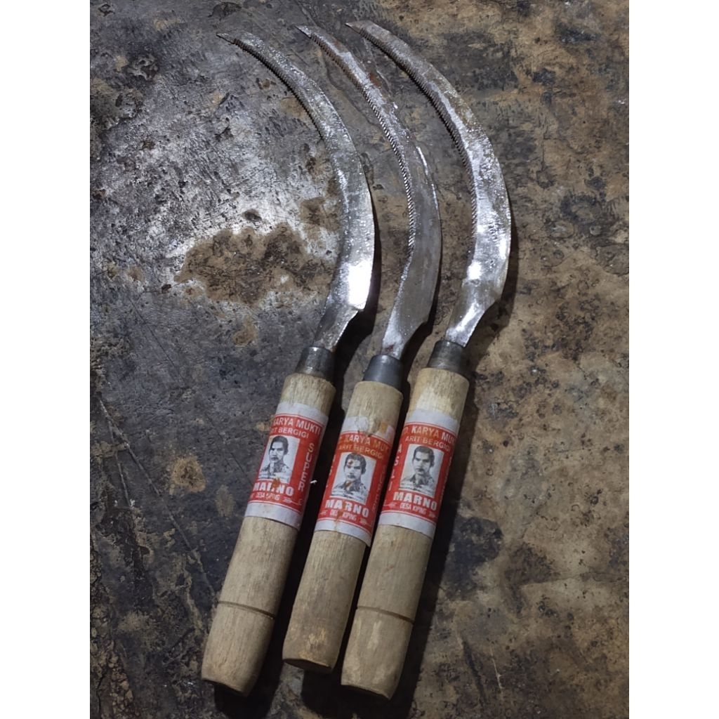 arit gergaji arit padi cap marno