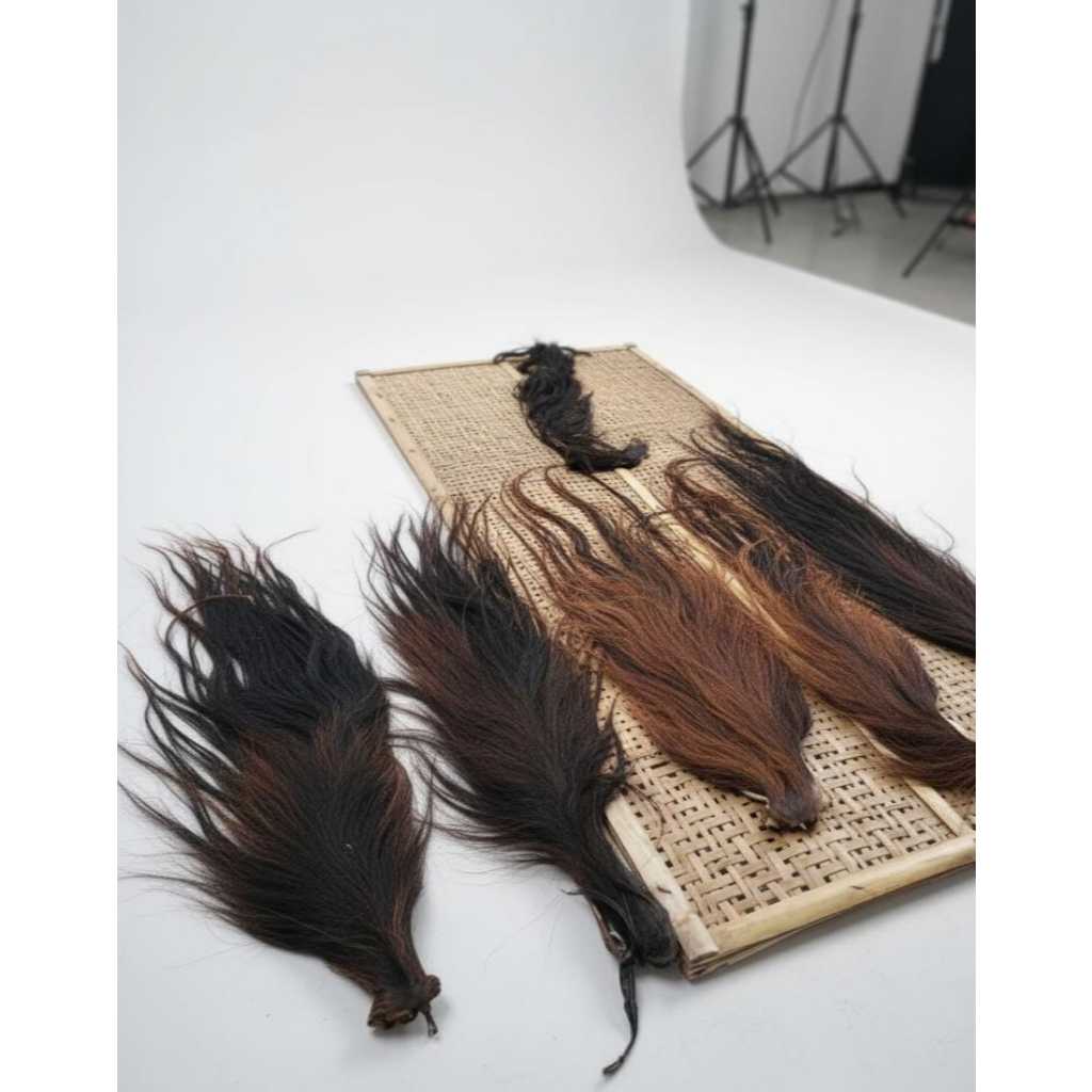 Rambut Kuda Lumping (Jaran Kepang)