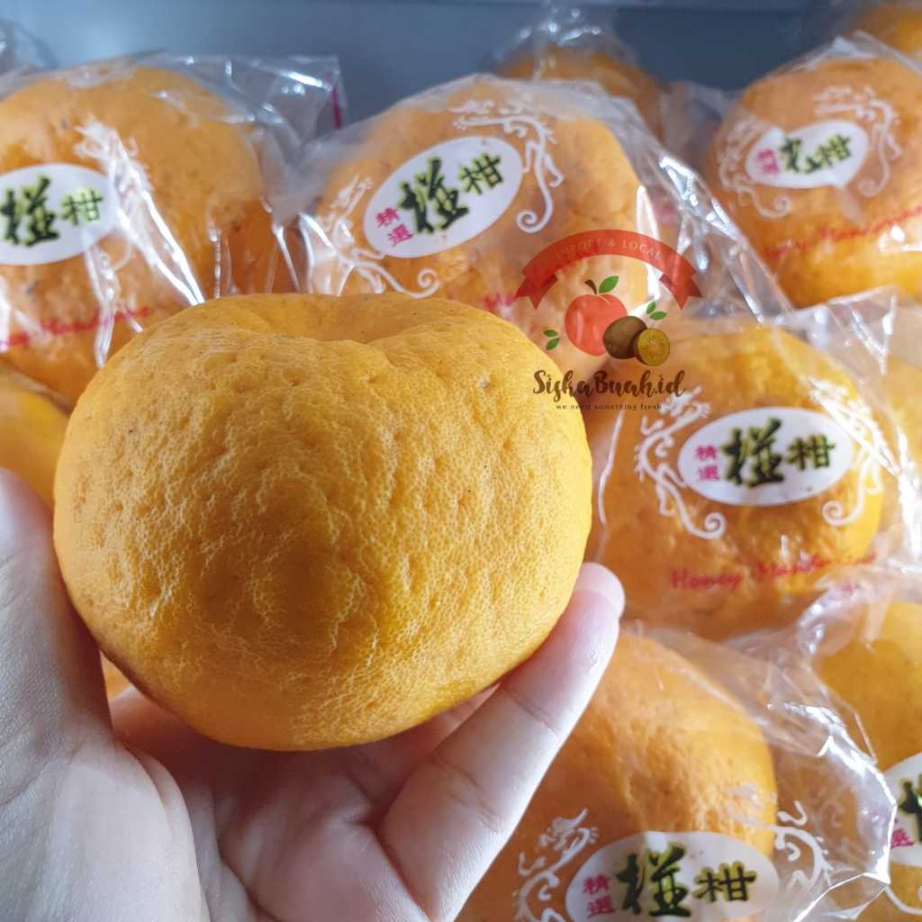 JERUK PONKAM HDL | PONKAM HDL SUPER MANIS | JERUK MADARIN JUMBO - HONEY MANDARIN IMPORT