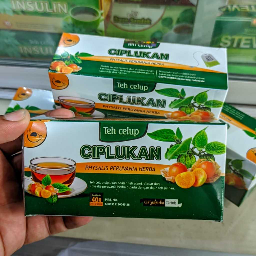 Herbal Teh Ciplukan | Berkhasiat Ampuh Mengobati Diabetes Gula Darah Dengan Teh Ciplukan | Teh Ciplu