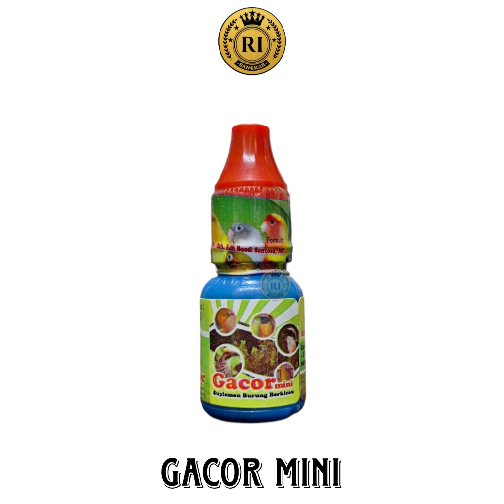 Gacor Mini Dr. Edhi