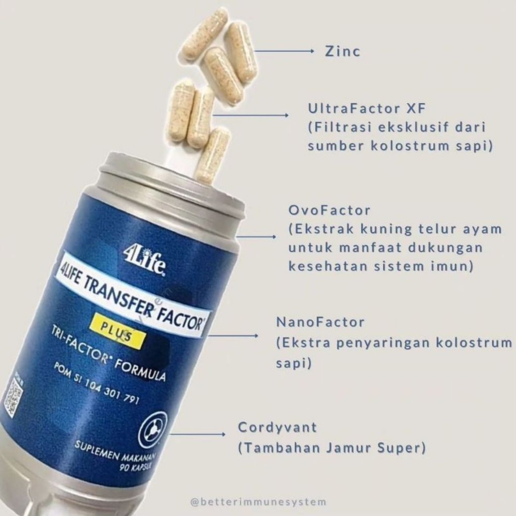 Vitamin Imunitas TF Plus Anti Virus Panleu Calici Distemper Flu Immune Support Recovery Anjing Plus 