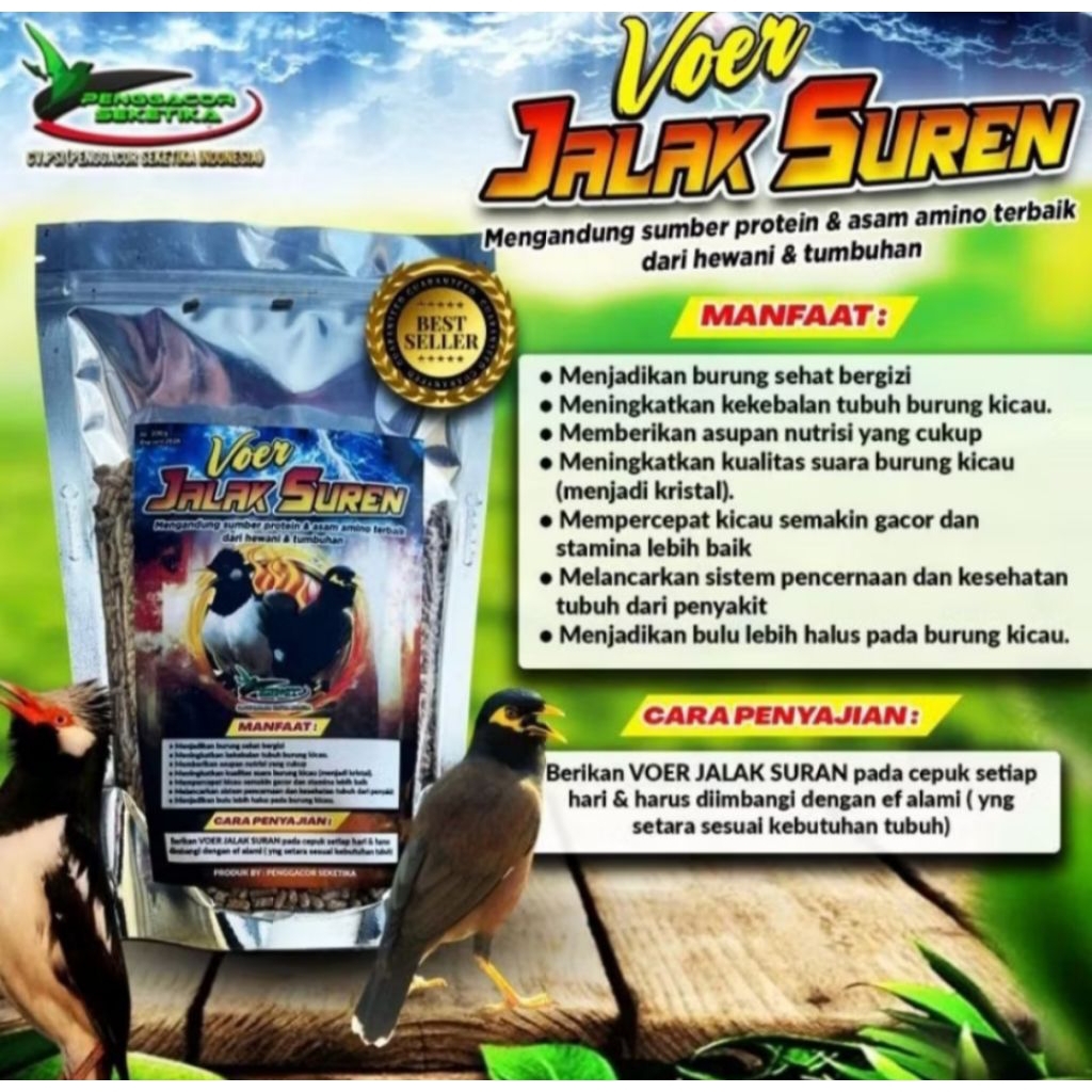 Voer Pakan Jalak Suren Penggacor burung Makanan pakan burung jalak suren