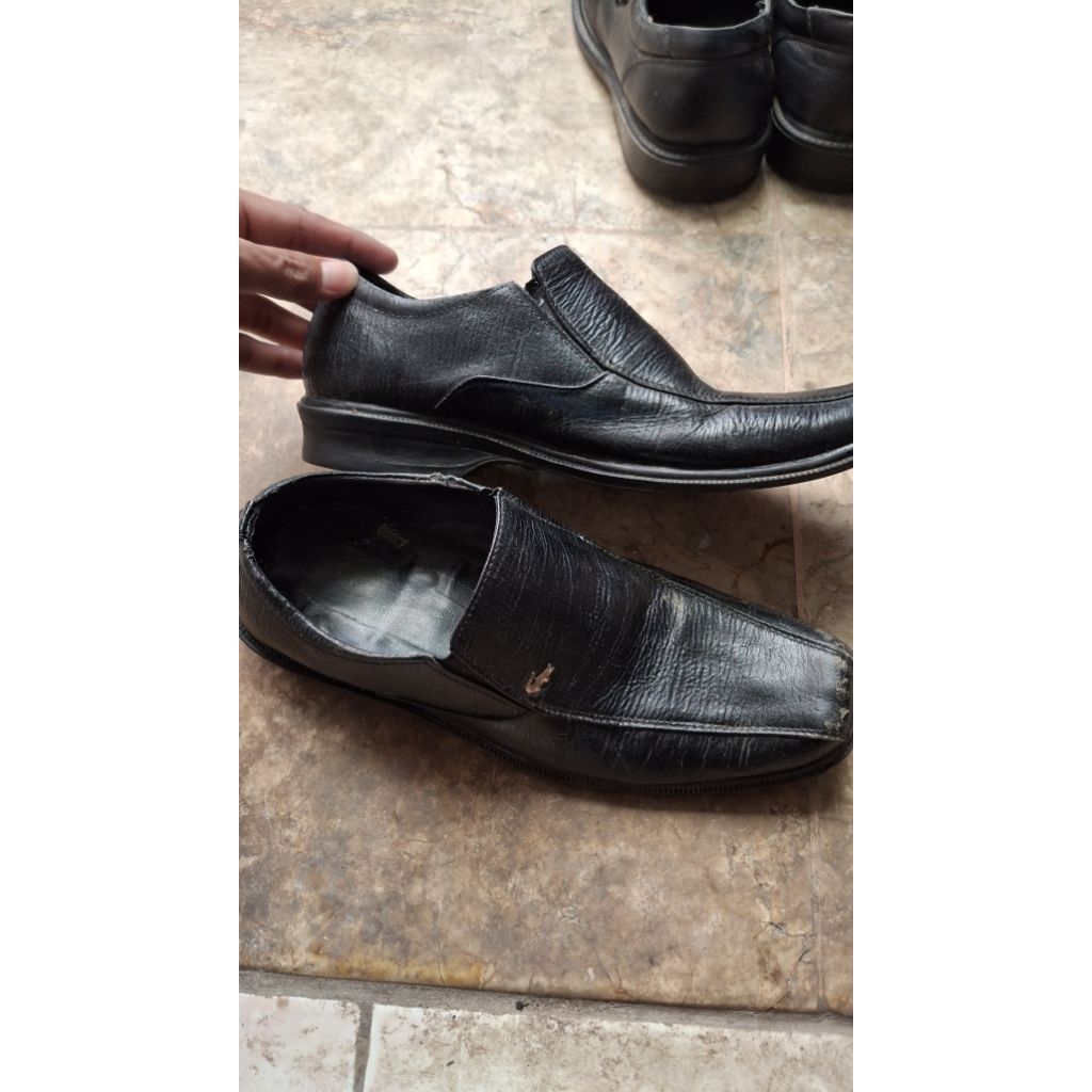 pantofel crocodile second