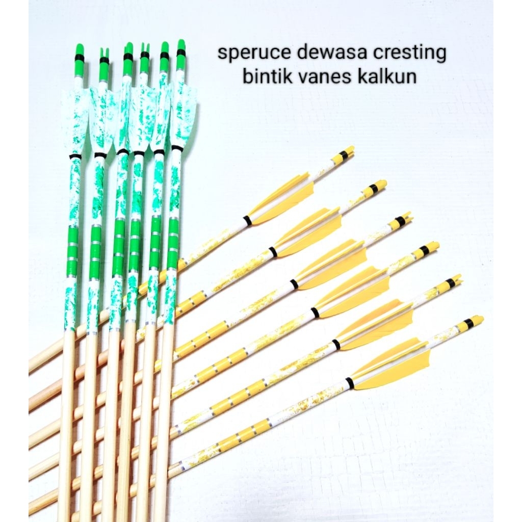 Arrow Dewasa Speruce Cresting corak Vanes Kalkun / 6 Pcs