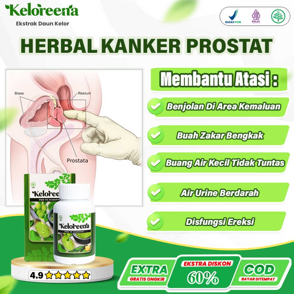 Obat Kanker Prostat Buah Zakar Bengkak Gangguan Hormon Penurunan Kualitas Sperma Disfungsi ereksi In