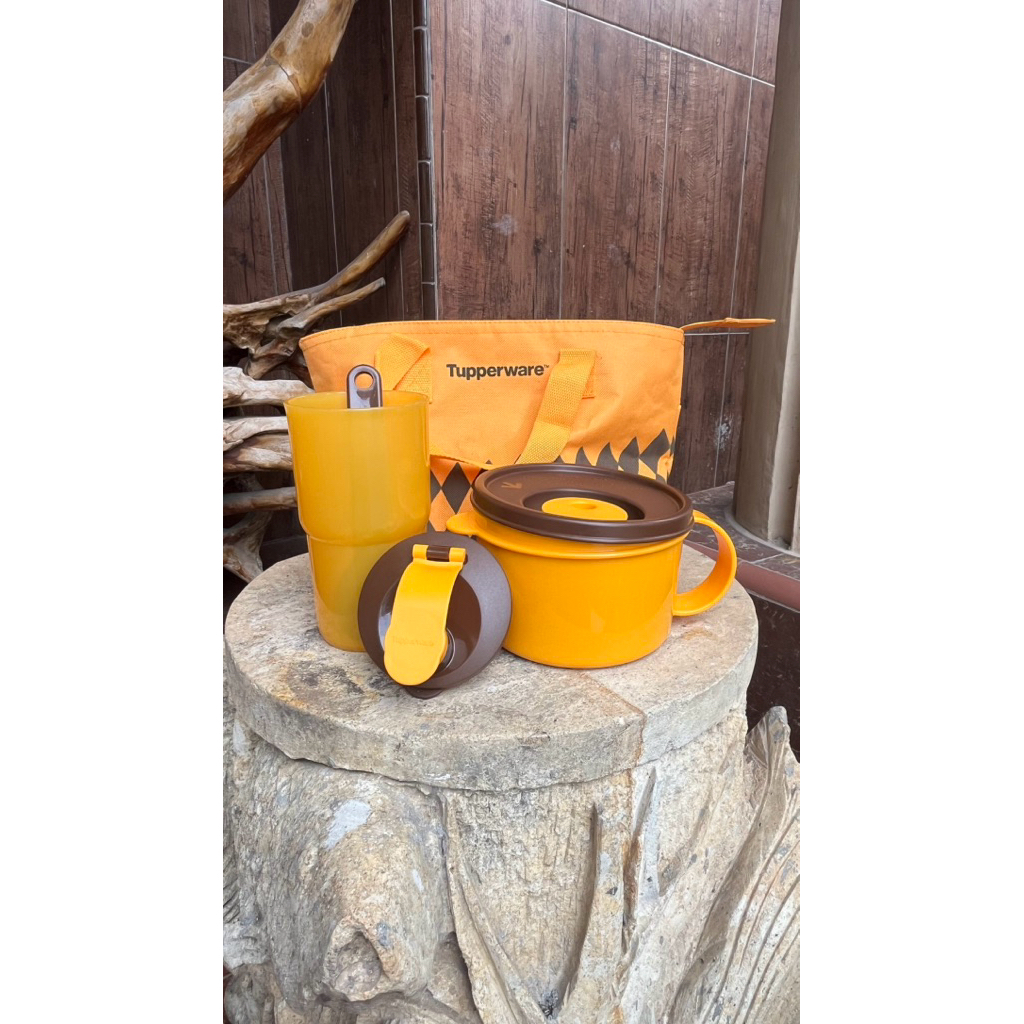 Kotak Bekal Tupperware Delight Set Orange