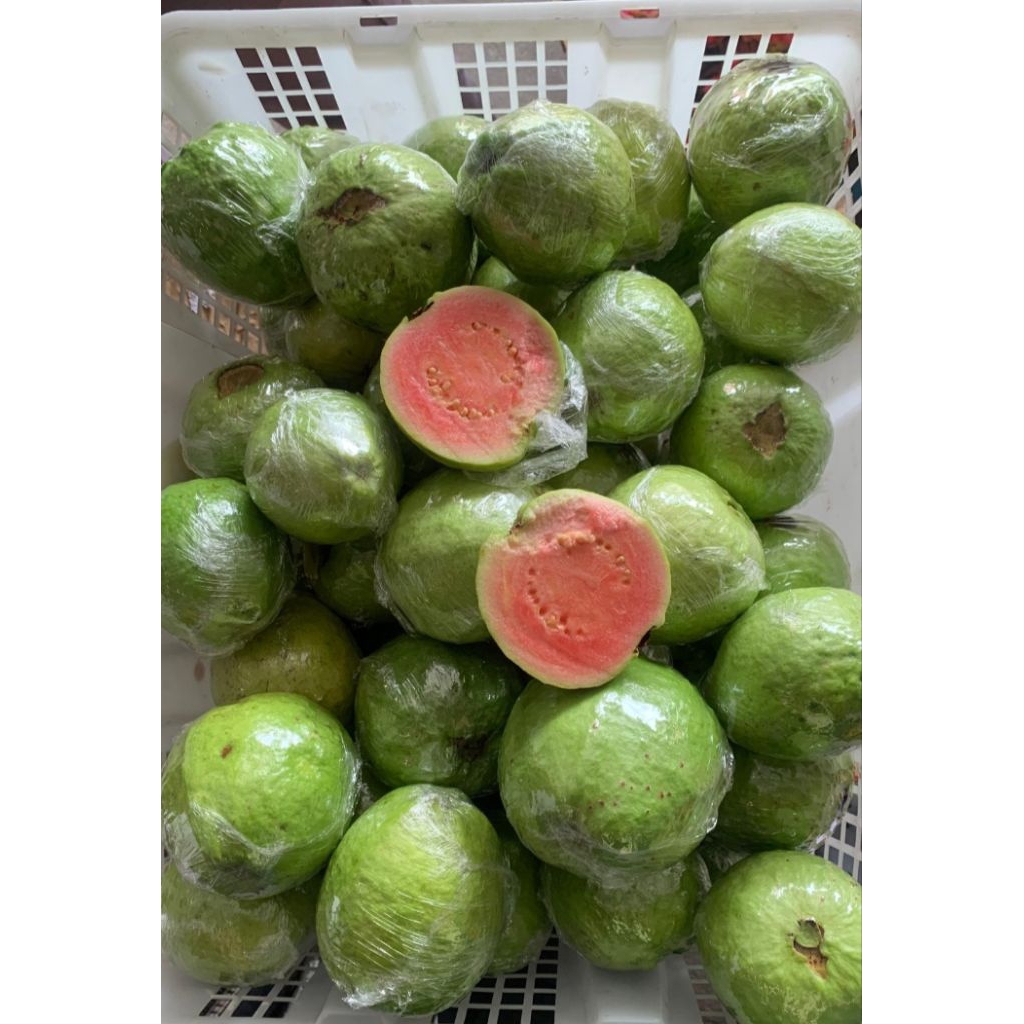 JAMBU BIJI MERAH 1kg