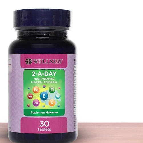 Wellness Multivitamin Mineral 2 A Day 30 Tabs