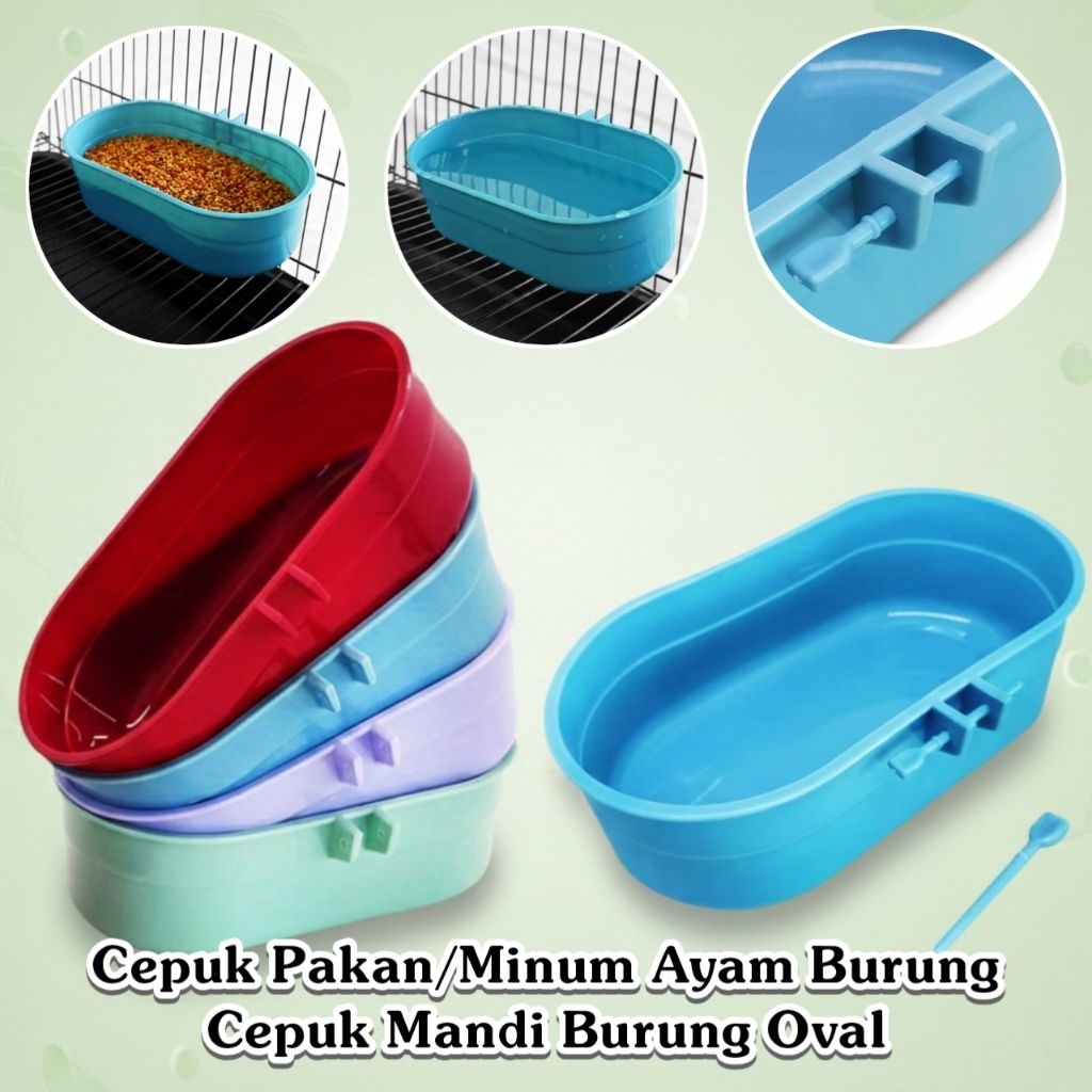 Cepuk Pakan/Minum Ayam Burung | Cepuk Mandi Burung Oval